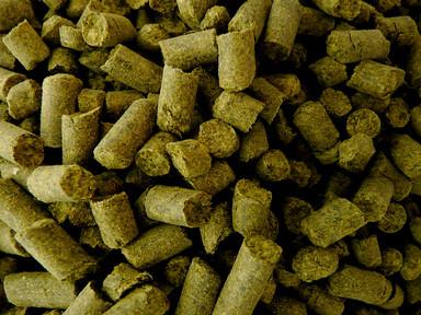 HOPS PELLETS STYRIAN GOLDING CELEIA CROP 2019